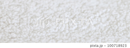 The texture of a white, soft, cozy carpet. The texture of a white, soft, cozy carpet. 100718923