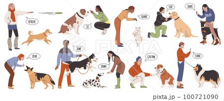 Dog training. Cartoon obedient pets carry out dog different handler commands, owner trains animals, outdoor puppy active teaching on professional playground tidy vector cartoon flat set 100721090
