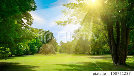 Sunrise beam in beautiful park 100721287