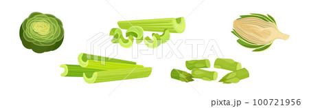Celery, Artichoke and Asparagus as Cultivated Vegetable for Vegetarian Nutrition Vector Set 100721956