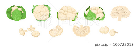Cauliflower with Edible White Flesh Used in Culinary Vector Set 100722013