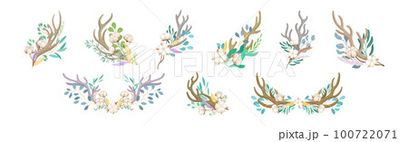 Deer Antlers Arranged with Tender Cotton Flowers and Green Twigs Vector Set Deer Antlers Arranged with Tender Cotton Flowers and Green Twigs Vector Set 100722071