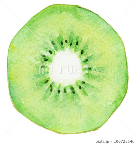 水彩輪切りのグリーンキウイの断面 100723546