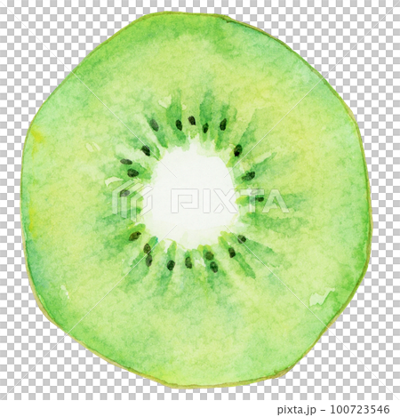 水彩輪切りのグリーンキウイの断面 100723546