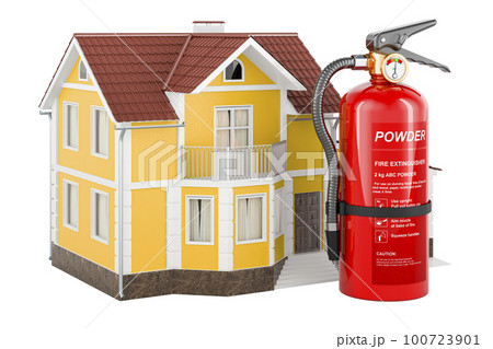 Fire extinguisher with house. 3D rendering 100723901