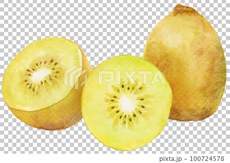 Watercolor gold kiwi and cut gold kiwi_side by side Watercolor gold kiwi and cut gold kiwi_side by side 100724578