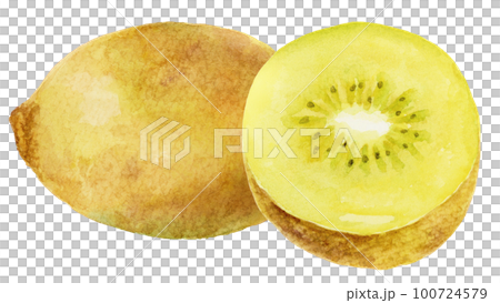 Watercolor gold kiwi and sliced gold kiwi 2 Watercolor gold kiwi and sliced gold kiwi 2 100724579