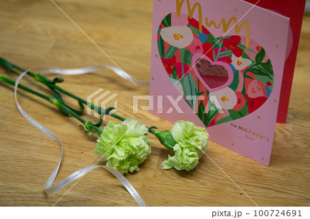 母の日 100724691