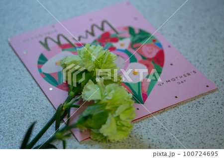 母の日 100724695