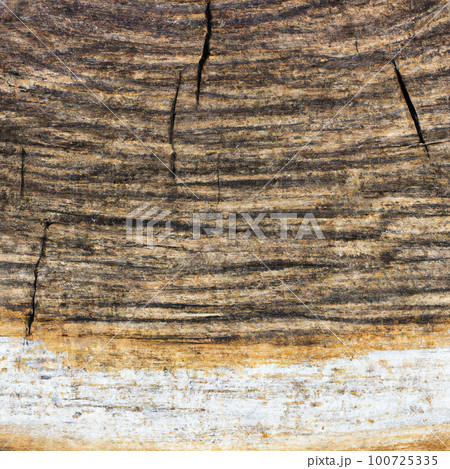 texture cut of old wood transverse 100725335