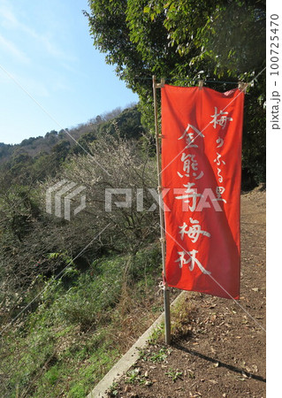 金熊寺梅林 100725470