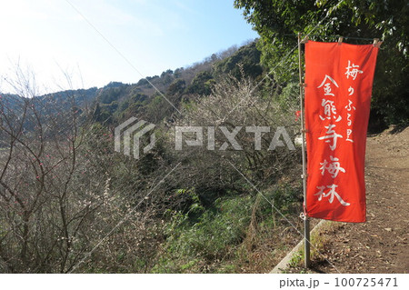 金熊寺梅林 金熊寺梅林 100725471