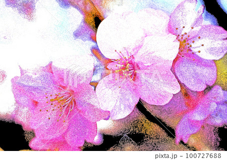 桜・春日差し香る朝 桜・春日差し香る朝 100727688