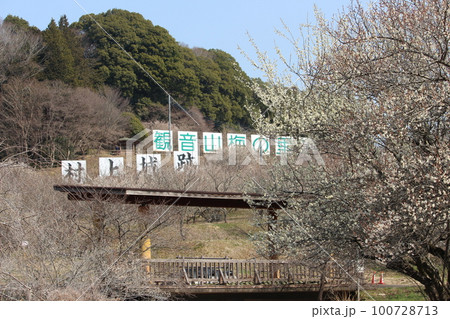 観音山 100728713