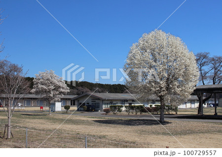 御料牧場 100729557