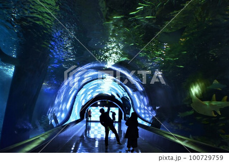 AQUAPARK SHINAGAWA  100729759