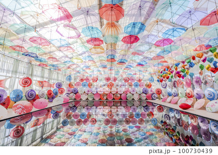 ハーブ園のカラフルな「アンブレラスカイ」 福島県猪苗代町 ハーブ園のカラフルな「アンブレラスカイ」 福島県猪苗代町 100730439