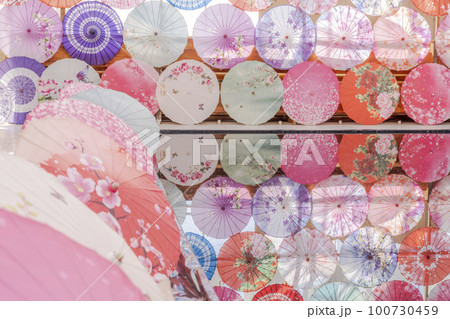 ハーブ園のカラフルな「アンブレラスカイ」　福島県猪苗代町 100730459