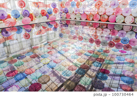 ハーブ園のカラフルな「アンブレラスカイ」　福島県猪苗代町 100730464