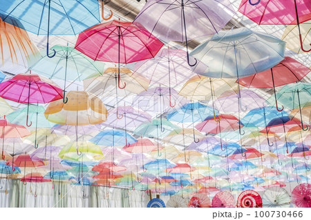 ハーブ園のカラフルな「アンブレラスカイ」 福島県猪苗代町 ハーブ園のカラフルな「アンブレラスカイ」 福島県猪苗代町 100730466