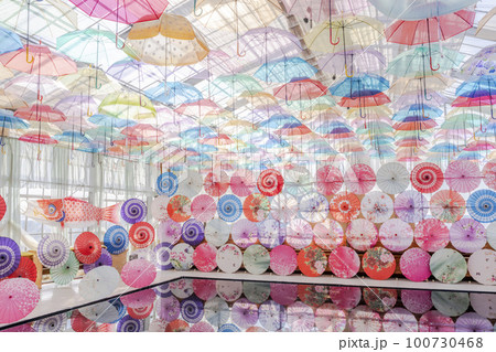 ハーブ園のカラフルな「アンブレラスカイ」　福島県猪苗代町 100730468