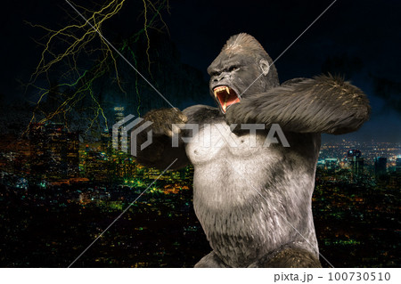 夜の大都会を背景にゴリラがドラミングをして威嚇をする 100730510