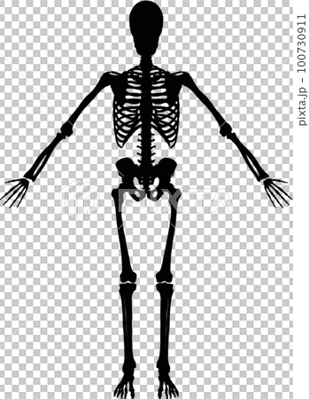 全身骨架後視男性剪影 100730911