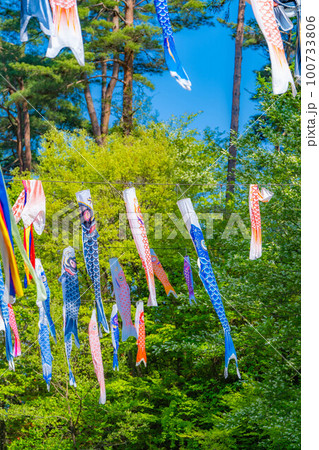 【初夏素材】大空を泳ぐ鯉のぼり【長野県】 100733806