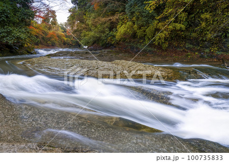 秋の養老渓谷・養老川 粟又の滝上流側 / Yoro River, Isumi, Japan 100735833