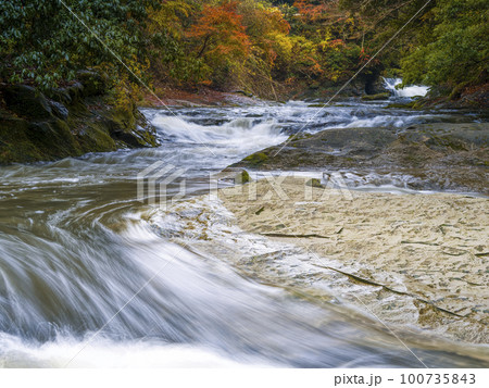 秋の養老渓谷・養老川 粟又の滝上流側 / Yoro River, Isumi, Japan 100735843
