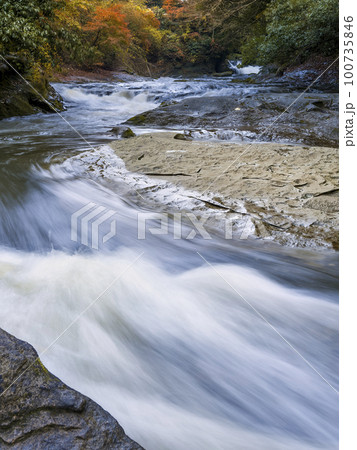 秋の養老渓谷・養老川 粟又の滝上流側 / Yoro River, Isumi, Japan 100735846