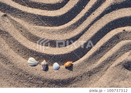 Travel and vacation season, summer holiday background. Top view of sea shells on beach sand 100737312