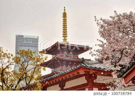 四天王寺の五重塔とハルカスと桜 100738784