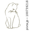 The cat sits down, looking at the floor to the right. 100739218