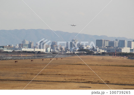 大阪国際空港 着陸 ゴール 大阪国際空港 着陸 ゴール 100739265