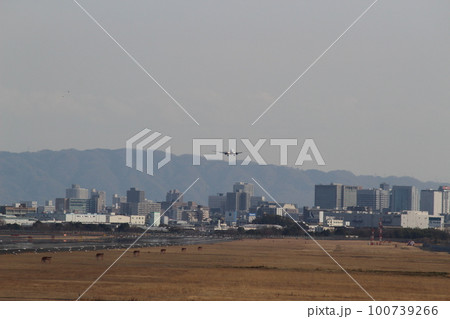 大阪国際空港 着陸 ゴール 大阪国際空港 着陸 ゴール 100739266
