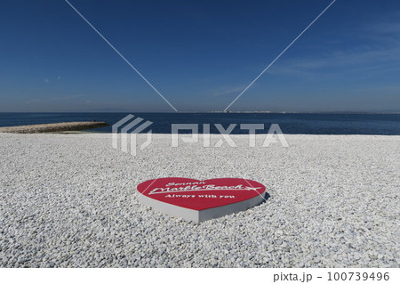 泉南マーブルビーチ 100739496