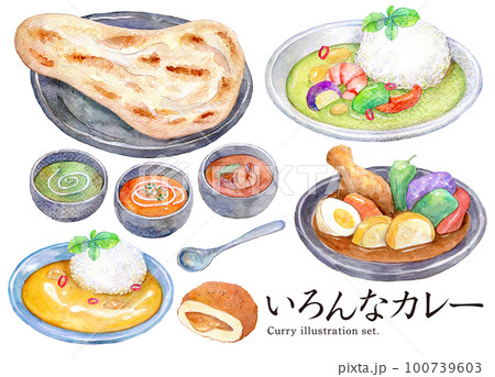 色んなカレー　世界のカレー　水彩イラスト 100739603