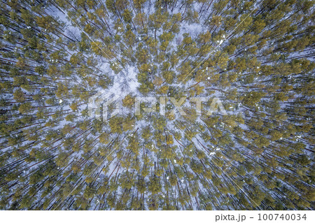 Aerial view of a winter pine forest. Top view of snow-covered pine trees. Beautiful winter forest landscape. Aerial view of a winter pine forest. Top view of snow-covered pine trees. Beautiful winter forest landscape. 100740034