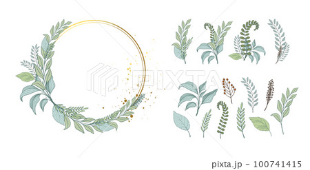 Round golden frame with green leaves, set of plant branches for wedding decor, plant wreath elements. Collection of botanical elements, forest ornamental herbs. Vector illustration isolated on white 100741415