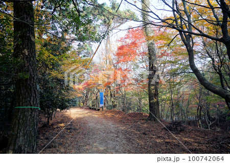 碧空と紅葉がキレイな寒霞渓_小豆島 100742064