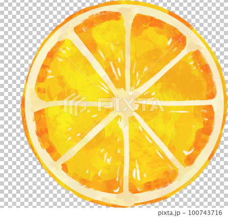 watercolor style sliced orange watercolor style sliced orange 100743716