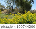 蜻蛉池公園 100744200