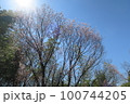 蜻蛉池公園 100744205