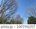蜻蛉池公園 100744207