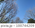 蜻蛉池公園 100744209