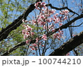 蜻蛉池公園 100744210