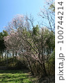 蜻蛉池公園 100744214