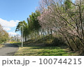 蜻蛉池公園 100744215