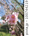 蜻蛉池公園 100744219